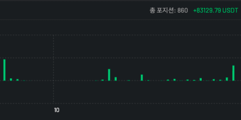 손익 히스토그램