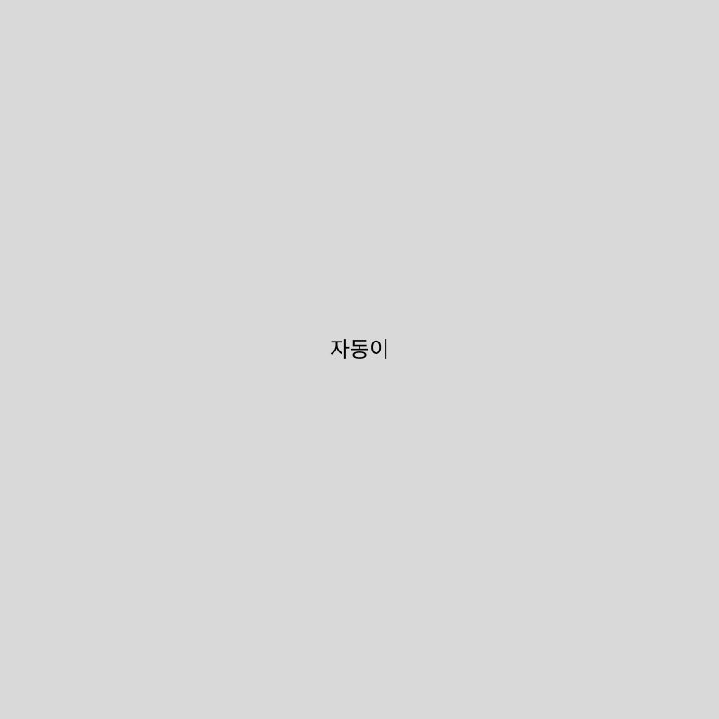 자동이